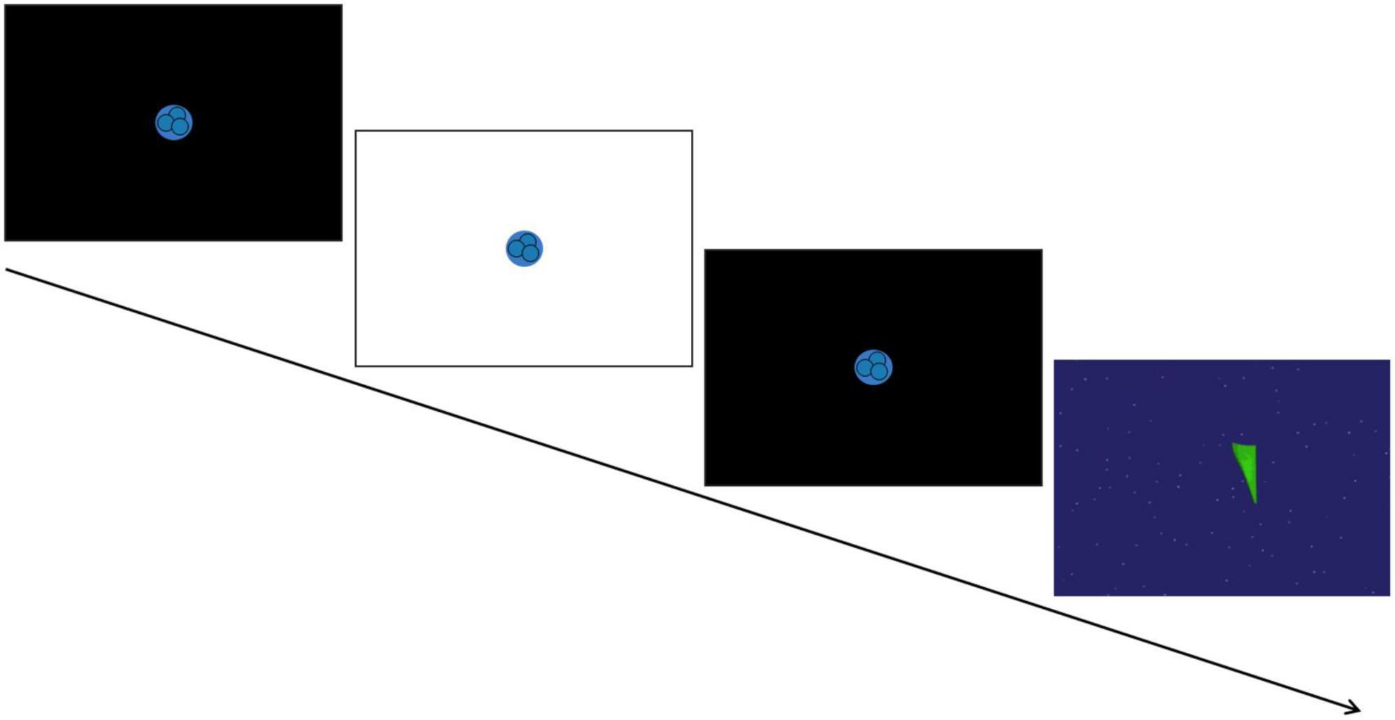 frontiers-associations-between-the-pupil-light-reflex-and-the-broader